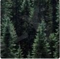 Tokhi Studios Jersey detail